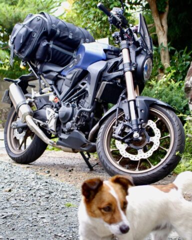 長野県 - ゲストハウス