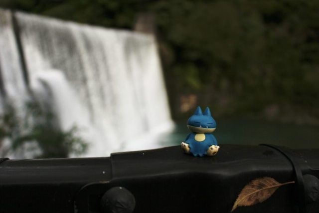 山水徳間の里キャンプ場 - 滝×ゴンべ（2025-11-02）