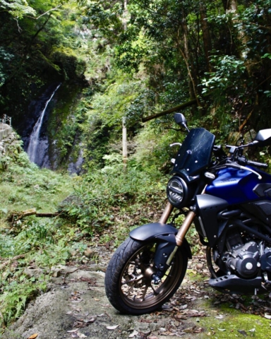 山梨県南部町 - 山間部（2025-11-02）