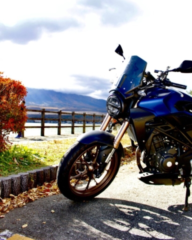 山中湖親水公園（2025-11-03）