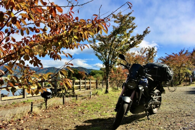 河口湖 - SATOMIYA - 景色（2025-11-03）