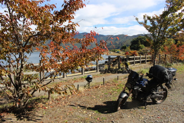 山梨県 - 河口湖 - SATOMIYAキャンプ場（2025-11-02）