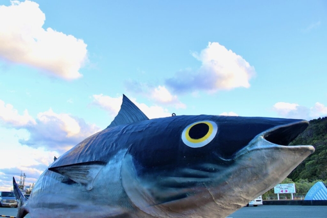 御前崎なぶら市場にある、カツオの巨大モニュメント。澄み渡る青空をバックに、口を大きく開けた迫力ある鰹の像が、港町ならではの活気を感じさせる。観光スポットのシンボル的な光景。