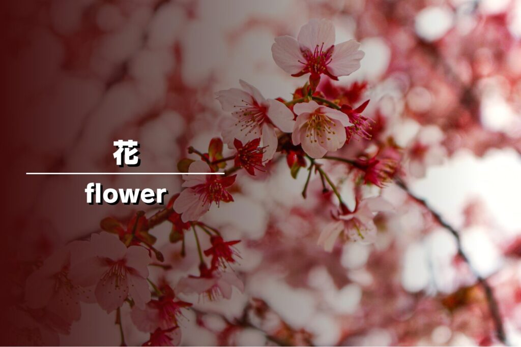 「花 flower」という文字がデザインされた、満開の桜(サクラ)のフォトギャラリー用サムネイル画像。ピンク色の花びらが鮮やかに描写され、背景には春の光を感じさせる柔らかなボケが広がっている情緒的な一枚。