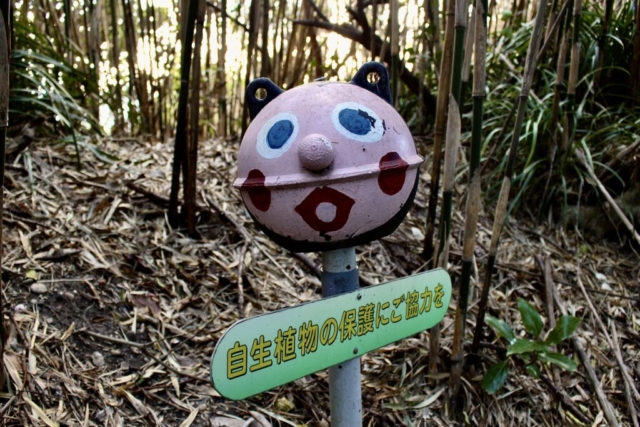 静岡県御前崎灯台近くの竹林に立つ、ピンク色の球体キャラクターが乗った自生植物保護の看板。手書き風の大きな青い目と赤い口のような模様が不気味な雰囲気を漂わせる、正体不明のオブジェ。