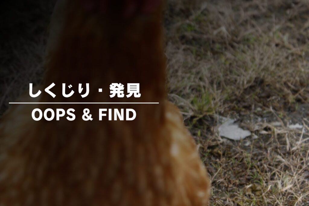 バイクブロガー「ねりすけ」のフォトギャラリー「しくじり・発見」の写真ページのサムネイル画像。