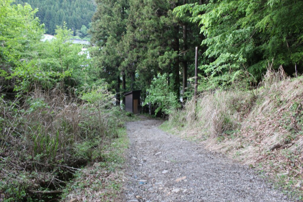 WOODSMAN CAMPGROUNDの川沿いサイトへと下る未舗装の砂利道。両脇に深い緑と木々が茂り、奥に小さな木造の建物が見えるアプローチ。