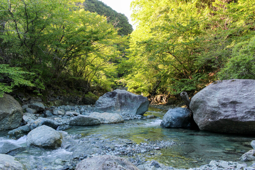蜂花苑キャンプ場近くを流れる中津川の渓谷、大きな巨岩と清流が織りなす景色